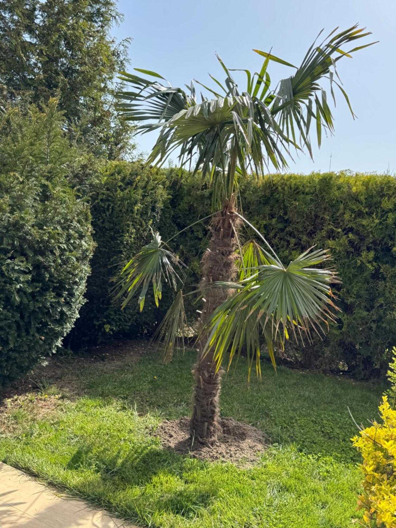 Villa Holiday Balçık Dış mekan fotoğraf