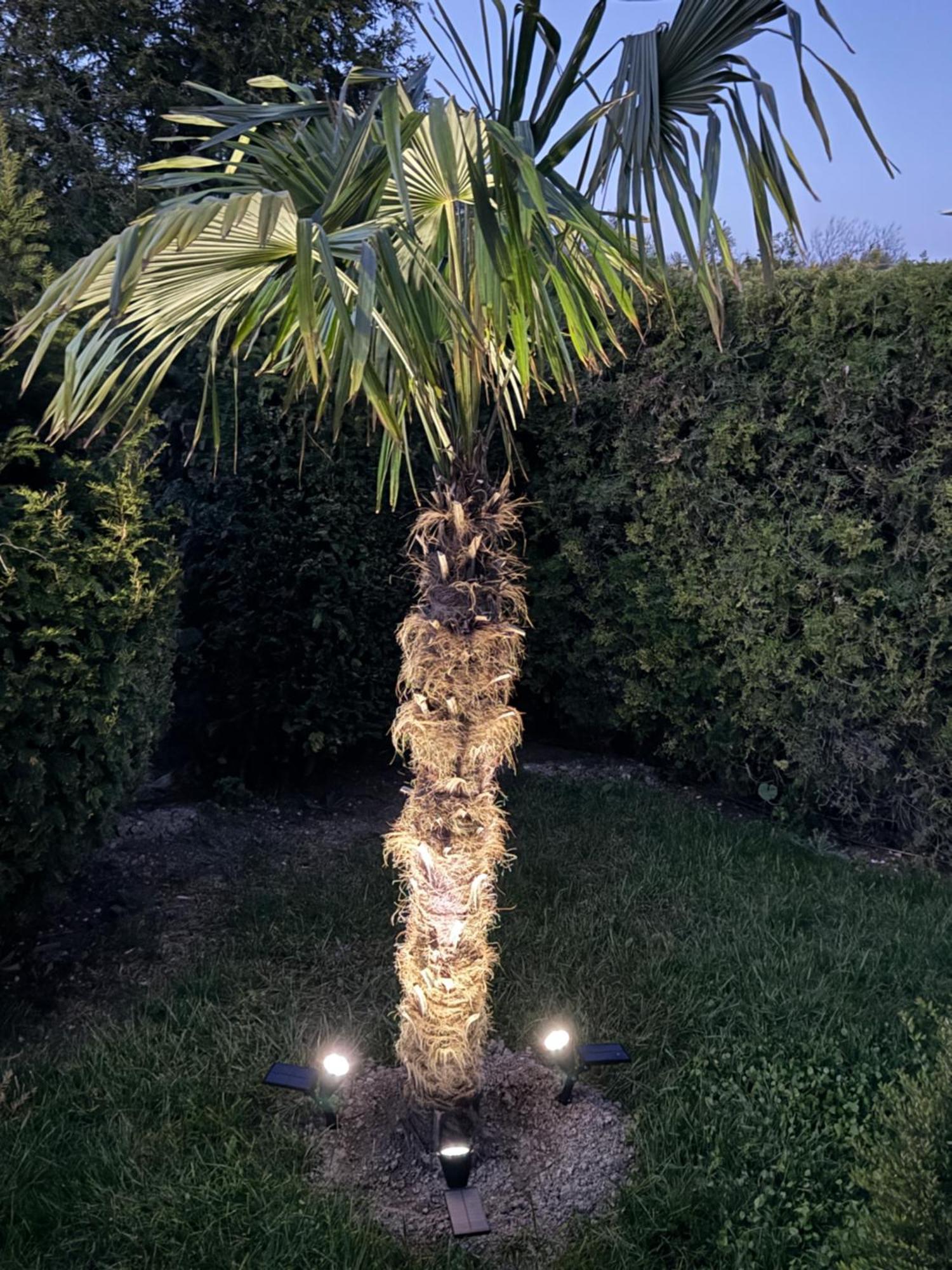 Villa Holiday Balçık Dış mekan fotoğraf